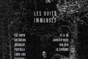 Image - Les Nuits Immenses #2