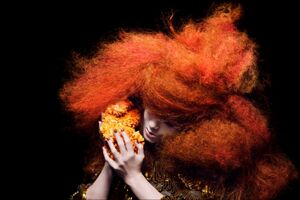Image - Björk