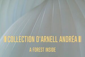 Image - Collection d'Arnell Andrea