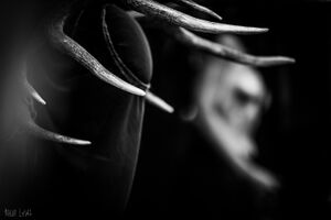 Image - Camecrude