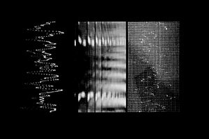Image - Camilla Pisani