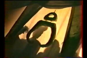 Image - Corpus Delicti