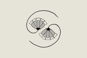 Image - Godspeed You! Black Emperor