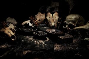 Image - In Slaughter Natives