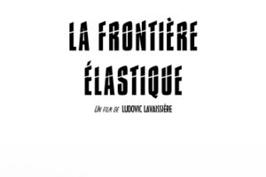 Image - Ludovic Lavaissi&egrave;re