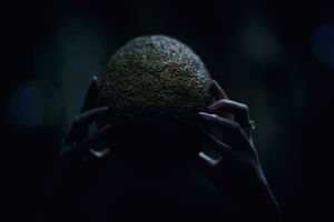 Image - Ottorn