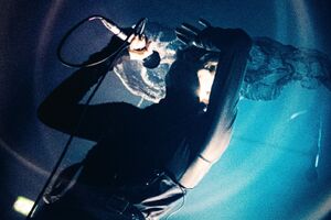 Image - Penelope Trappes