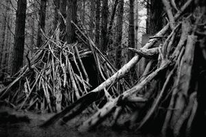 Image - Satøri
