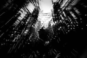 Image - Skold
