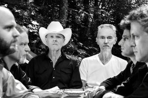 Image - Swans
