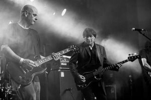 Image - The Chameleons