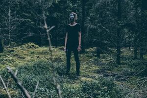 Image - Vlimmer