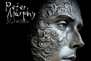 Image - Peter Murphy