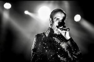 Image - Peter Murphy