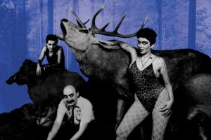 Image - Alesia Cosmos