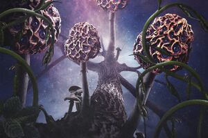 Image - Blut Aus Nord