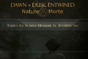 Image - Dawn + Dusk Entwined & Nature Morte