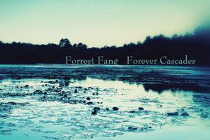 Image - Forrest Fang