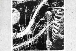 Image - Kadaitcha