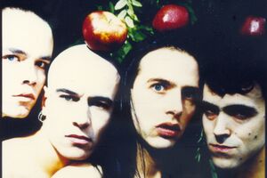 Image - Les T&eacute;tines Noires