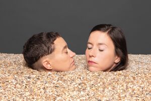 Image - Mansfield.TYA