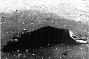 Image - &Ocirc; Paradis / Nov&yacute; Svet