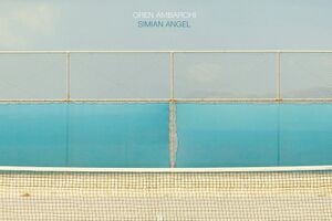 Image - Oren Ambarchi