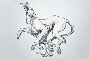 Image - Ottorn