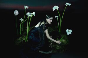 Image - Penelope Trappes