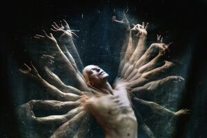 Image - Phil Von
