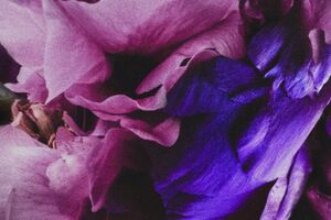 Image - Ruin Of Romantics