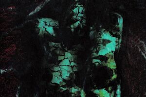 Image - S&eacute;bastien Gayraud