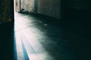 Image - Jake Soffer & Brent Carmer