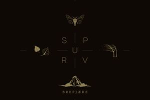 Image - Spurv