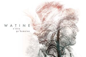 Image - Watine