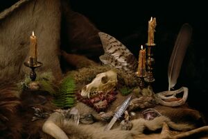 Image - Wolves In The Throne Room
