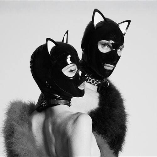 Image de présentation