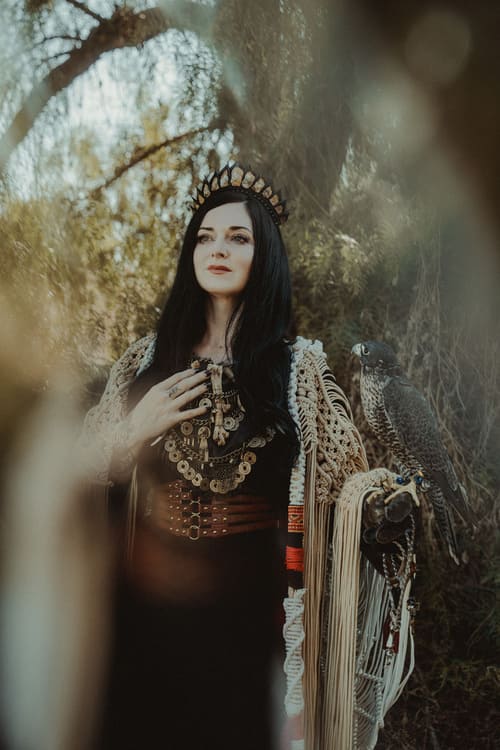 Image de présentation