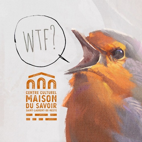 Image de présentation