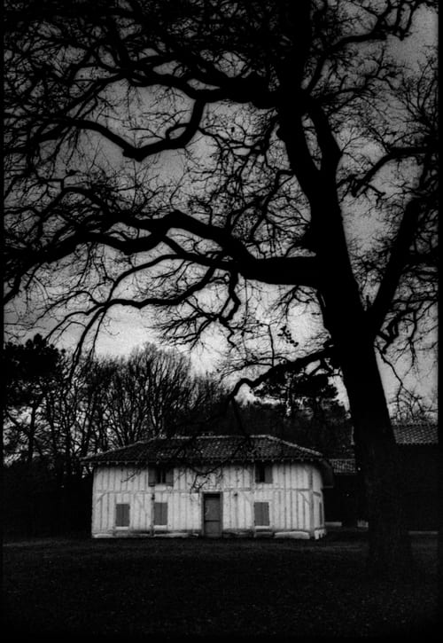 Image de présentation