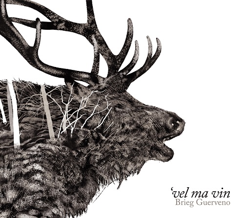 Image de présentation