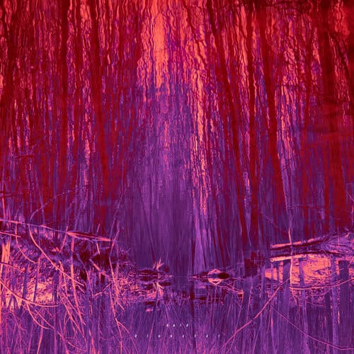 Image de présentation