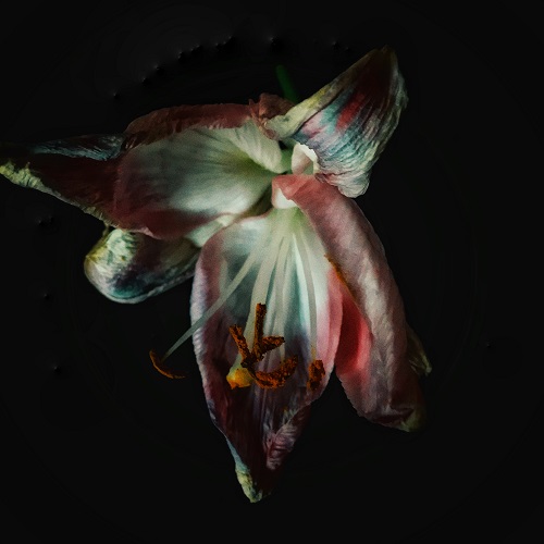 Image de présentation