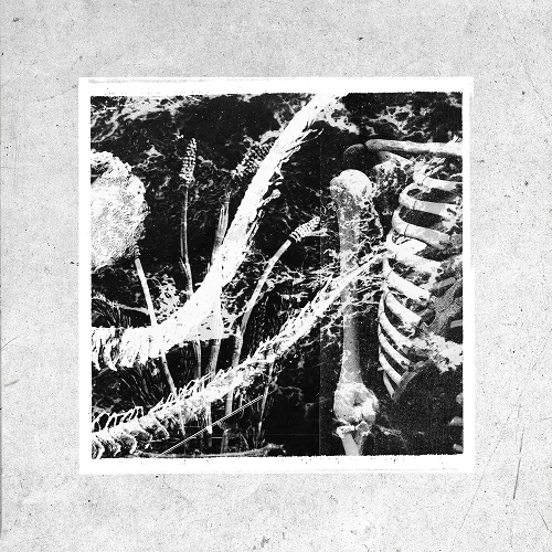 Image de présentation