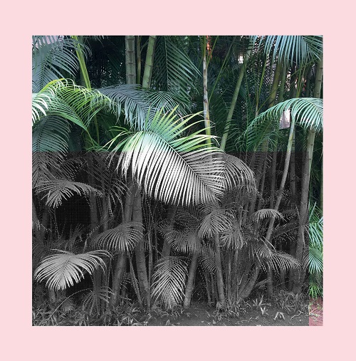 Image de présentation